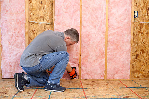 Insulation Inspection Services in Georgetown, CO